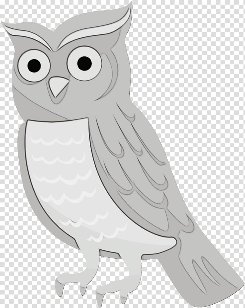 owl bird white bird of prey snowy owl, Watercolor, Paint, Wet Ink, Cartoon, Eastern Screech Owl, Beak transparent background PNG clipart