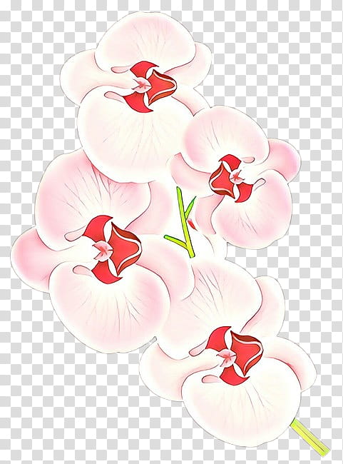 flower pink plant petal moth orchid, Cartoon transparent background PNG clipart