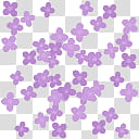 Stages, purple flower illustration transparent background PNG clipart