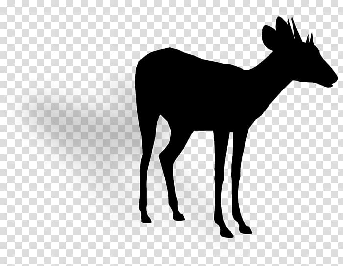 Reindeer, Moschus, Silhouette, Musk, Wildlife, Roe Deer, Chamois, Antelope transparent background PNG clipart