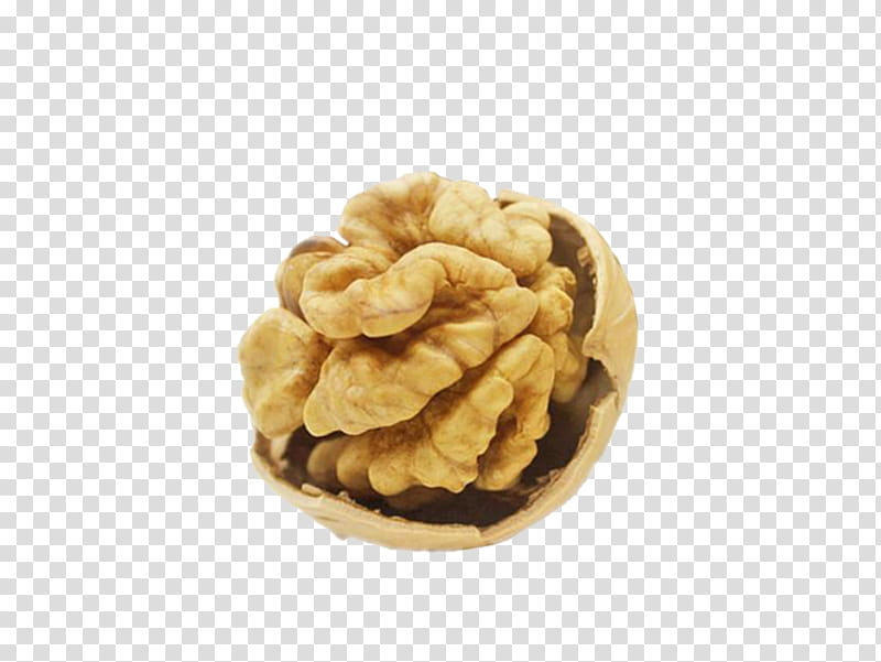 Walnut Tree, English Walnut, Food, Iranian Cuisine, Almond, Dried Fruit, Walnut Oil, Hazelnut transparent background PNG clipart