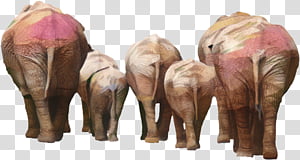 Elephant, African Elephant, Indian Elephant, Drawing, Elmer Fudd,  Cartoon, Silhouette, Animation transparent background PNG clipart thumbnail