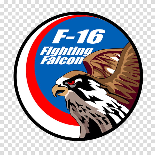 Northrop Grumman Logo, General Dynamics F16 Fighting Falcon, Grumman F14 Tomcat, Northrop F5, Royal Thai Air Force, Saab Jas 39 Gripen, Turkish Air Force, Aggressor Squadron transparent background PNG clipart