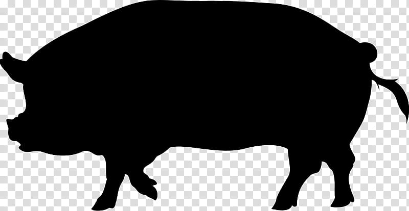 Pig, Silhouette, Drawing, Cartoon, Black, Bovine, Live, Snout transparent background PNG clipart
