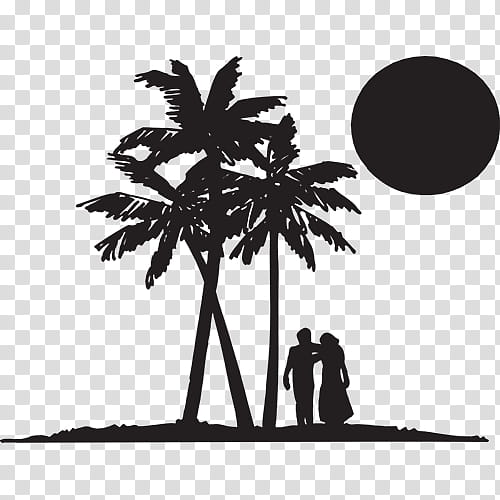 Coconut Tree Drawing, Palm Trees, Silhouette, Sabal Palm, Blackandwhite, Arecales, Woody Plant, Branch transparent background PNG clipart