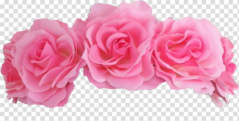 Floral Flower, Crown, Wreath, Garland, Floral Design, Rose, Pink, Red transparent background PNG clipart
