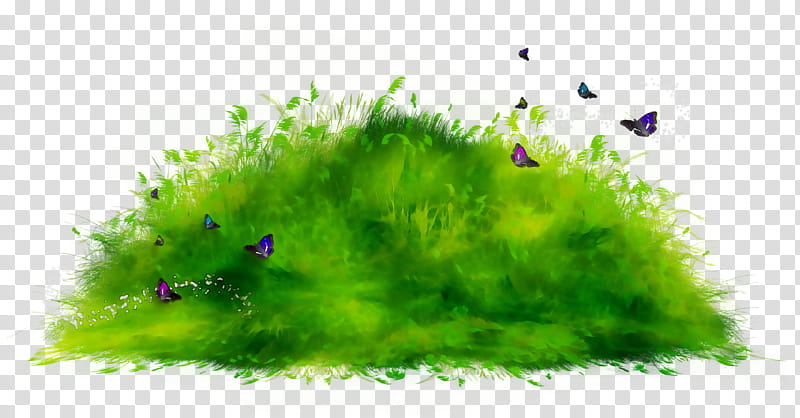 Cartoon Nature, Ecosystem, Ecology, Biology, Ecosystem Ecology, Urban Ecosystem, Vegetation, Cartoon transparent background PNG clipart