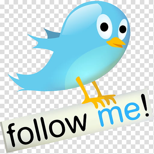 twitter follow icon png