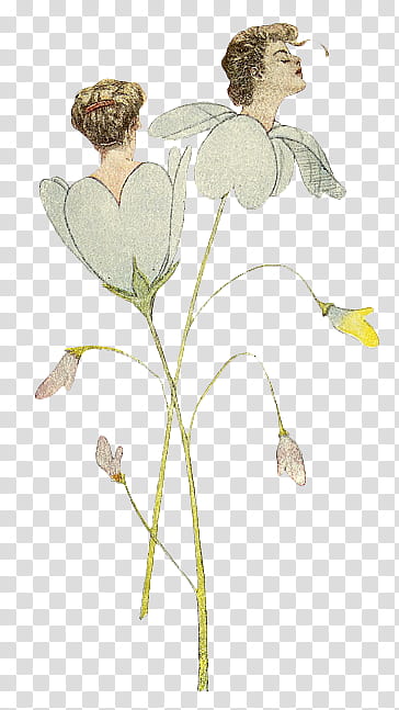 Flower People s, two female white flowers illustration transparent background PNG clipart