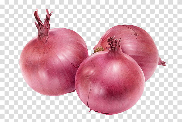 , three onions transparent background PNG clipart