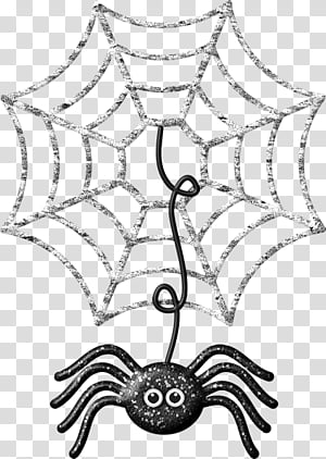Halloween Spider Web, Drawing, Necklace, Jewellery transparent background PNG clipart thumbnail