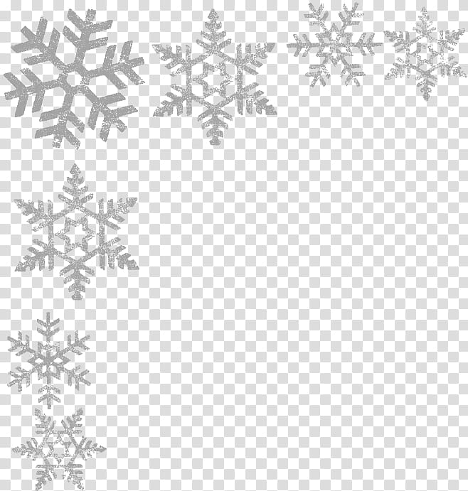 Black And White Flower, Snowflake, Art Museum, Blog, Black And White
, Text, Tree, Leaf transparent background PNG clipart
