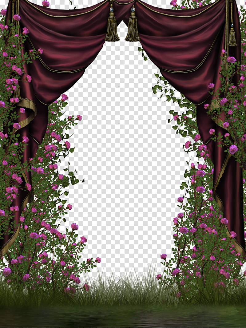 Rose, pink floral trellis with red curtain illustration transparent background PNG clipart