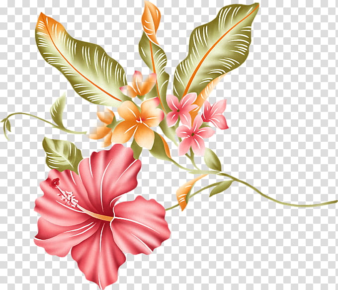 Watercolor Pink Flowers, Drawing, Watercolor Painting, Hawaiian Hibiscus, Petal, Plant, Chinese Hibiscus, Mallow Family transparent background PNG clipart