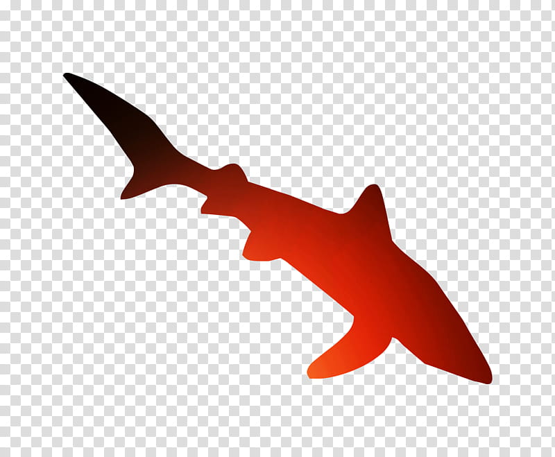 Shark Fin, Fish, Animal Figure, Lamniformes, Hammerhead, Cartilaginous Fish, Carcharhiniformes, Requiem Shark transparent background PNG clipart