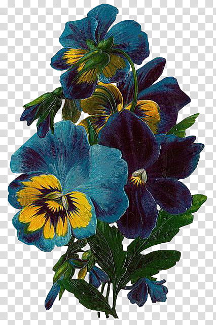 blue and yellow flower transparent background PNG clipart