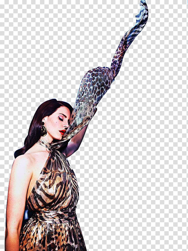Lana Del Rey Stupid transparent background PNG clipart