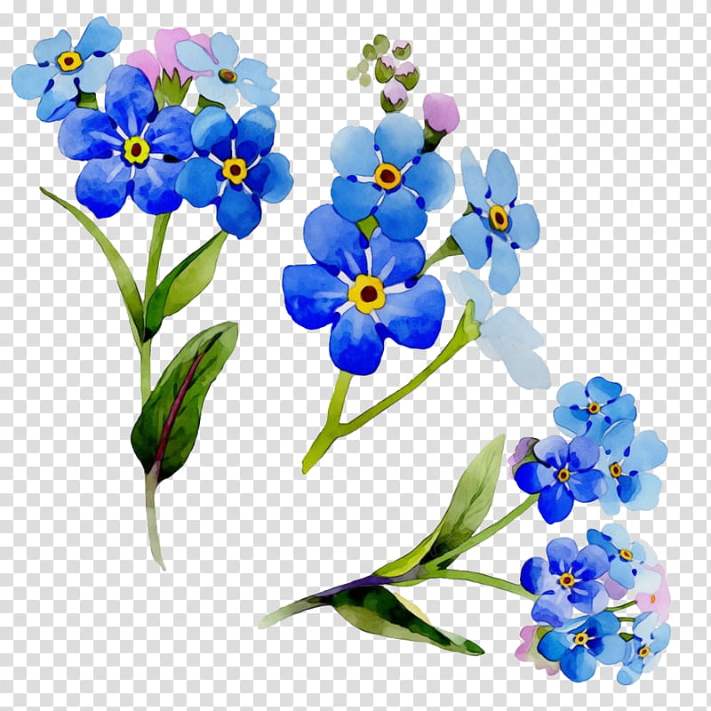 flower alpine forget-me-not plant forget-me-not blue, Watercolor, Paint, Wet Ink, Alpine Forgetmenot, Violet, Water Forget Me Not, Petal transparent background PNG clipart