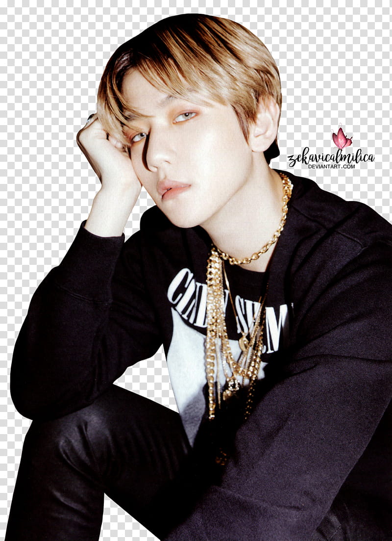 EXO Baekhyun Don t Mess Up My Tempo transparent background PNG clipart