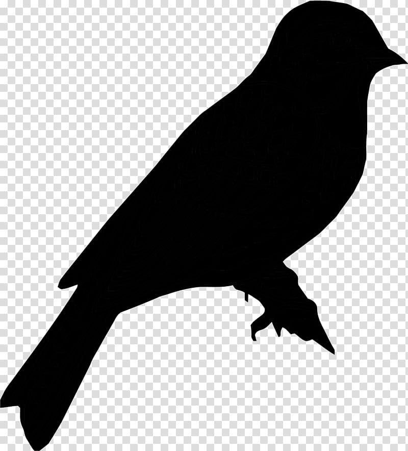 Cartoon Bird, Fotolia, Beak, Crow, New Caledonian Crow, Raven, Fish Crow, Crowlike Bird transparent background PNG clipart