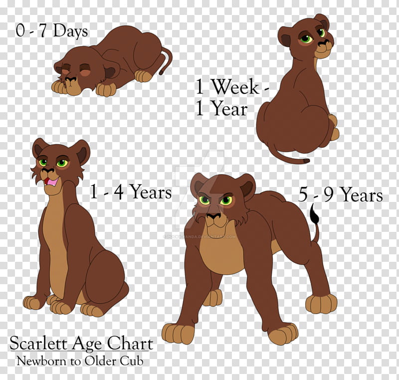 (Descendants Animal Kingdom) Scarlett Age Chart transparent background PNG clipart