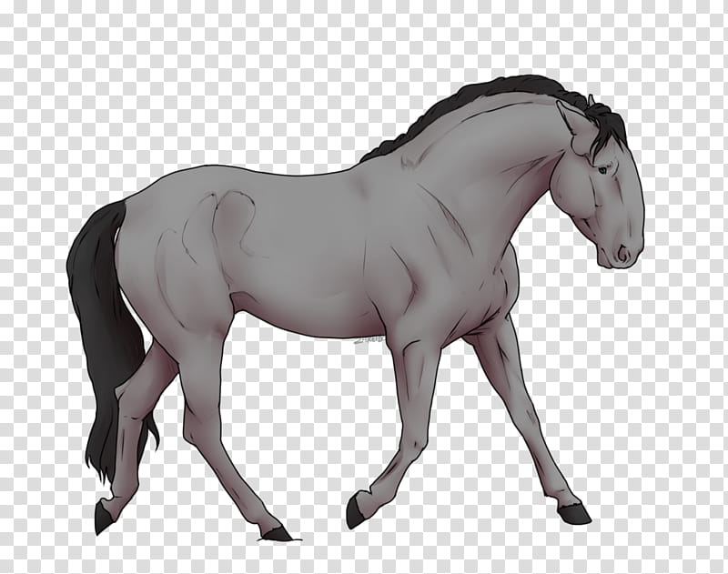 Horse, Mustang, Mane, Pony, Mare, Iberian Horse, Foal, Stallion transparent background PNG clipart