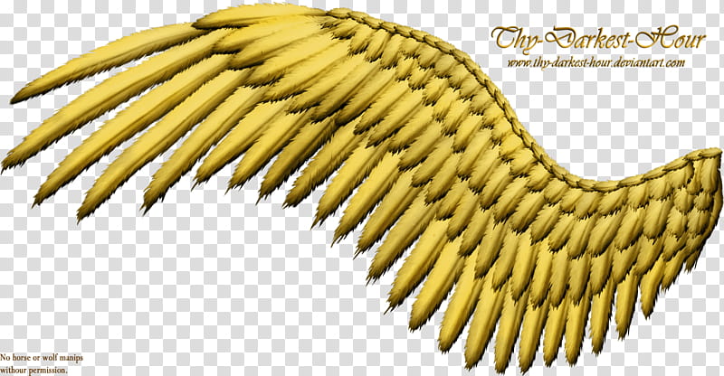 Feathered Wing Golden, wide open brown bird wing illustration transparent background PNG clipart