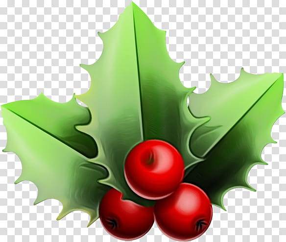 Holly, Watercolor, Paint, Wet Ink, Leaf, Tree, Plant, American Holly transparent background PNG clipart