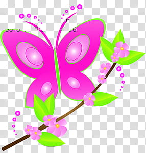 Pink Butterfly with Flowers, pink and green butterfly near flower transparent background PNG clipart