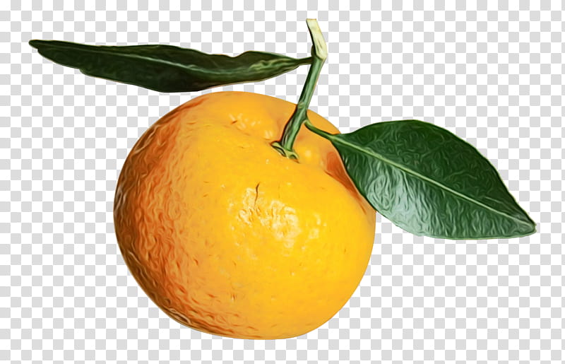 Lemon Leaf, Mandarin Orange, Clementine, Tangelo, Orange Juice, Vegetarian Cuisine, Tangerine, Marmalade transparent background PNG clipart