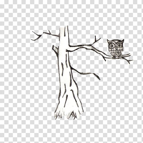 , black and white owl on tree illustration transparent background PNG clipart