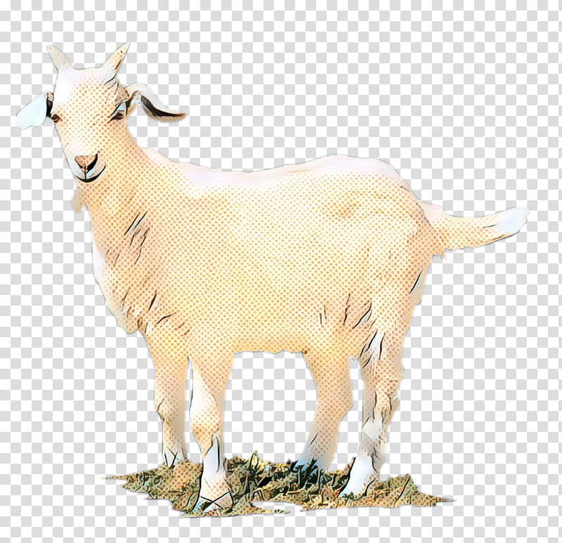 Eid Al Adha Islamic, Eid Mubarak, Sheep, Muslim, Goat, Animal, Goats, Goatantelope transparent background PNG clipart