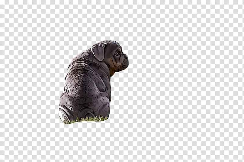 shar pei dog puppy sporting group non-sporting group, Nonsporting Group, Companion Dog, Neapolitan Mastiff transparent background PNG clipart