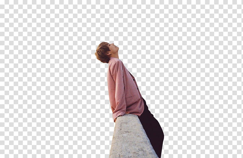 V  WrappedInPolythene, man sitting on concrete fence transparent background PNG clipart