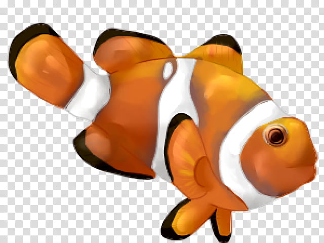 Clown Fish Png Png Stock Com - clownfish roblox cliparts cartoons jing fm