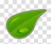 Scrap  Summer Expectations, green leaf illustration transparent background PNG clipart