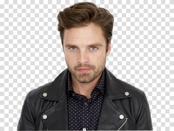 Sebastian Stan XXVIII transparent background PNG clipart