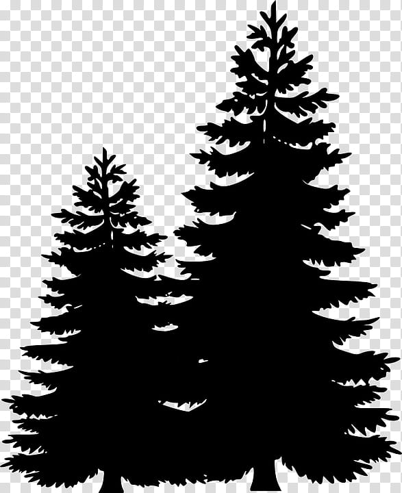 Christmas Black And White, Pine, Tree, Silhouette, Evergreen, Fir, Birch, Cedar transparent background PNG clipart