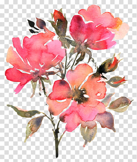 Red Watercolor Flowers, Watercolor Painting, Rose, Flower Bouquet, Floral Design, Petal, Plant, Pink transparent background PNG clipart