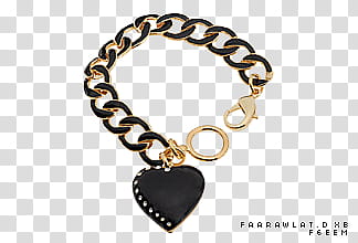 AcceSSories FeeM, black heart pendant gold chain necklace transparent background PNG clipart