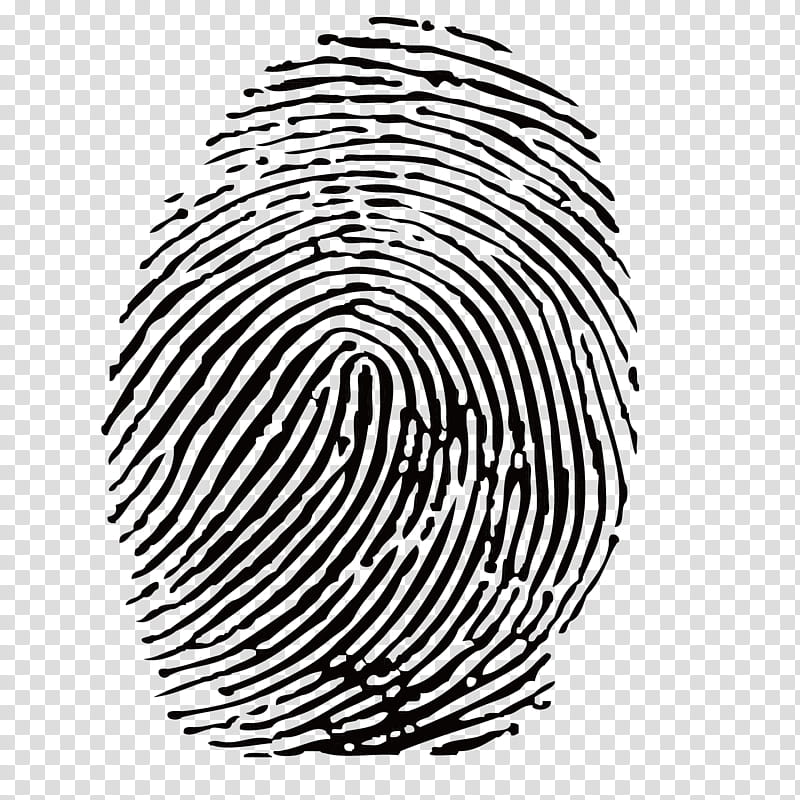 Fingerprint Tree, Fingerabdruckerkennung, Automated Fingerprint Identification, Black And White
, Line, Circle, Area, Line Art transparent background PNG clipart