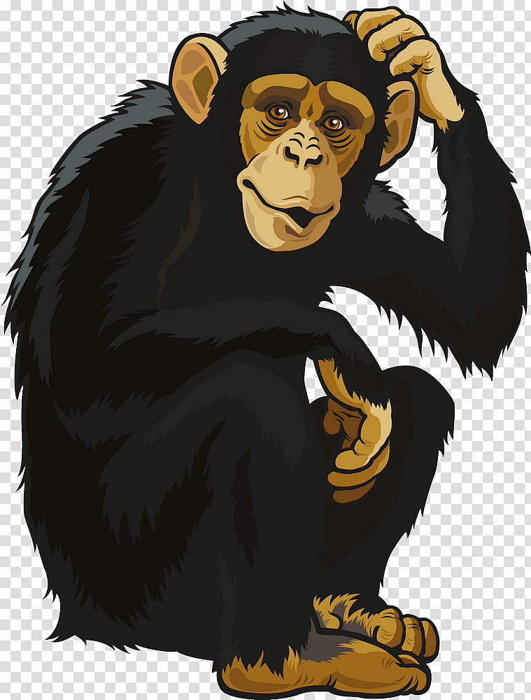 Monkey, Chimpanzee, Ape, Gorilla, Orangutan, Simian, Common Chimpanzee, Cartoon transparent background PNG clipart