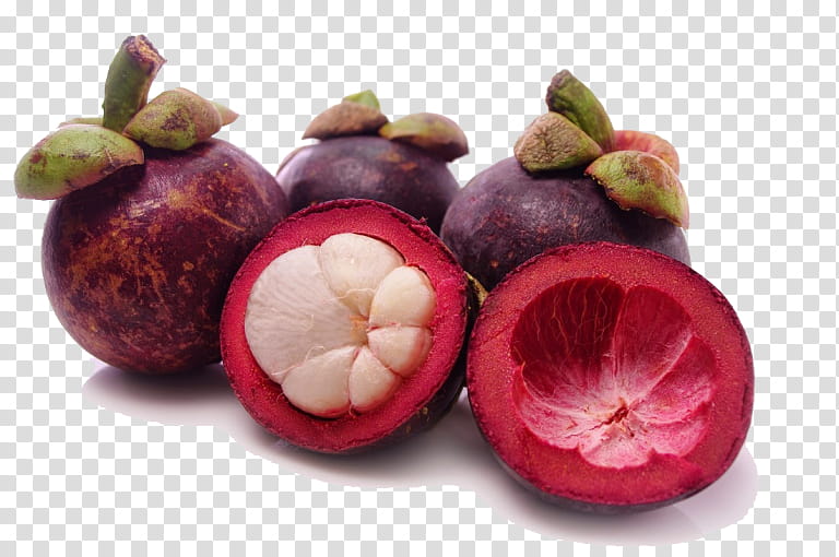 mangosteen fruit png