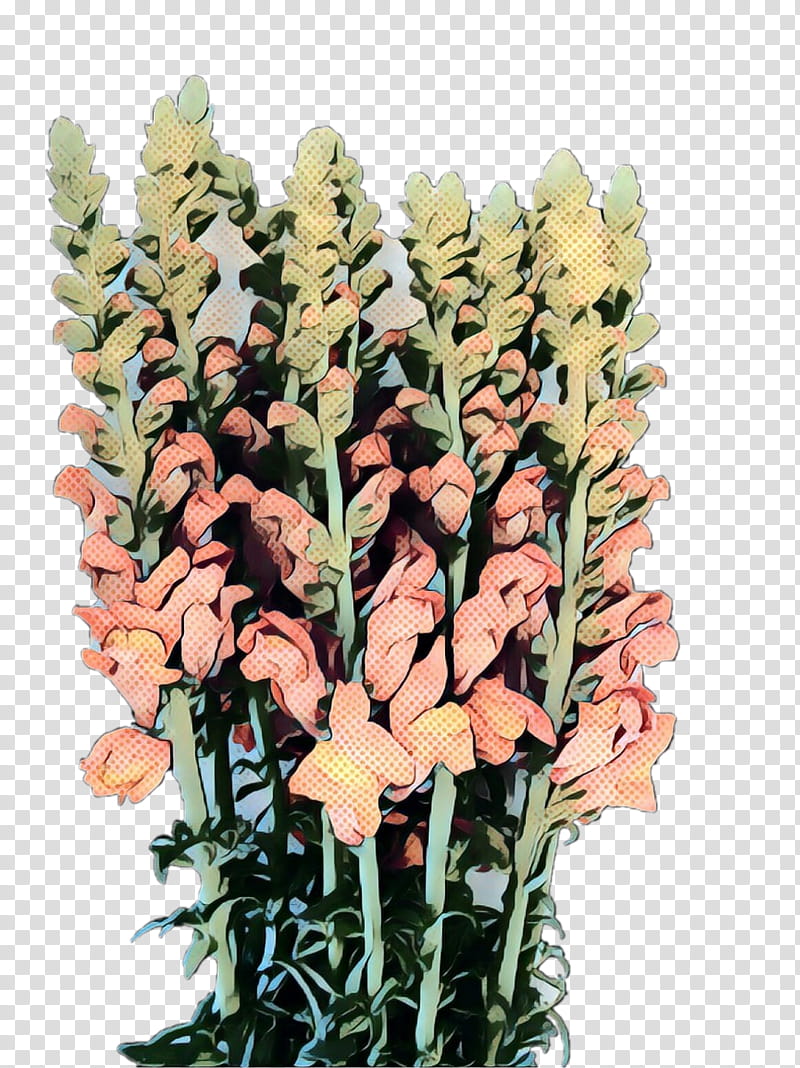 Flowers, Cut Flowers, Plant Stem, Plants, Gladiolus, Grass, Snapdragon, Bouquet transparent background PNG clipart