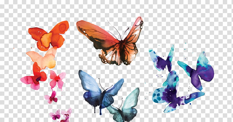 Watercolor Butterfly Art, Watercolor Painting, Drawing, Monarch Butterfly, Pastel, Moths And Butterflies, Cynthia Subgenus, Insect transparent background PNG clipart