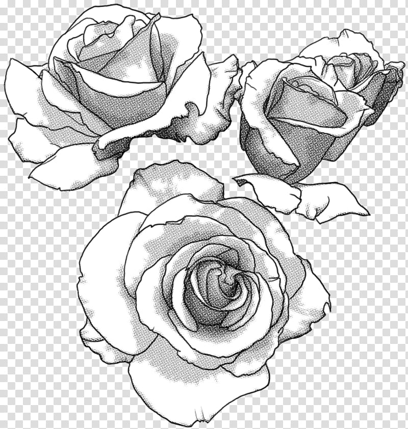 Rose Screentone , gray roses illustration transparent background PNG clipart