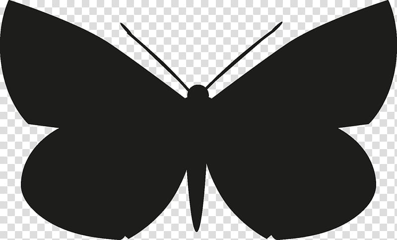 Butterfly Black And White, Brushfooted Butterflies, Drawing, Silhouette, Insect, Moth, Morpho, Black And White transparent background PNG clipart