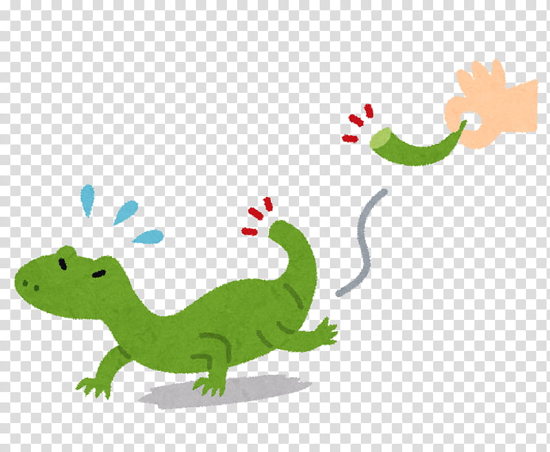Green Grass, Lizard, Tail, Bluetongued Skink, Reptile, Autotomy, Japanese Skink, Chameleons transparent background PNG clipart