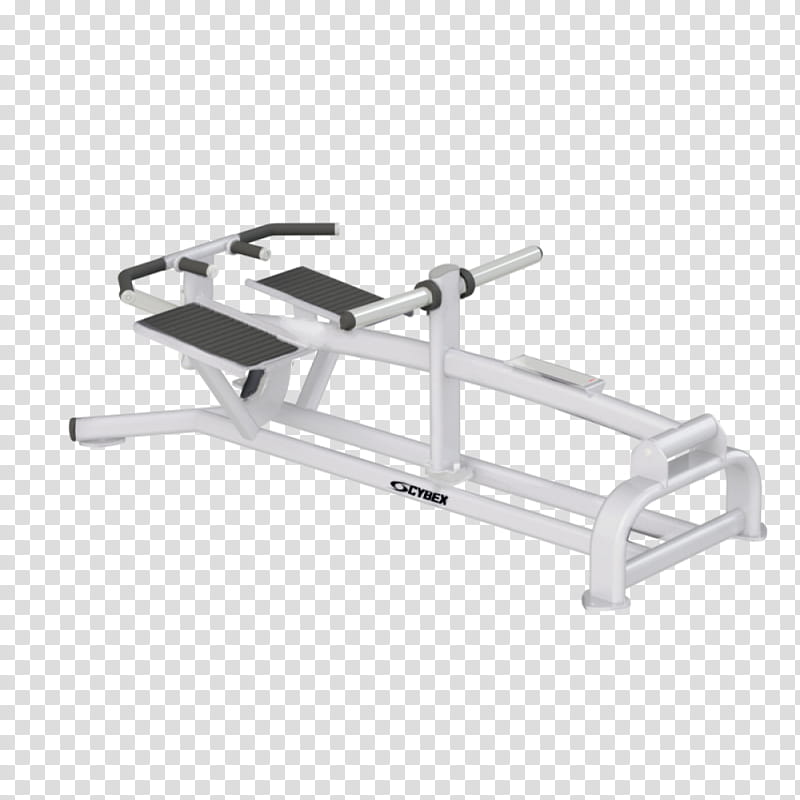 Fitness, Cybex International, Row, Exercise Equipment, Fitness Centre, Calf Raises, Physical Fitness, Strength Training transparent background PNG clipart