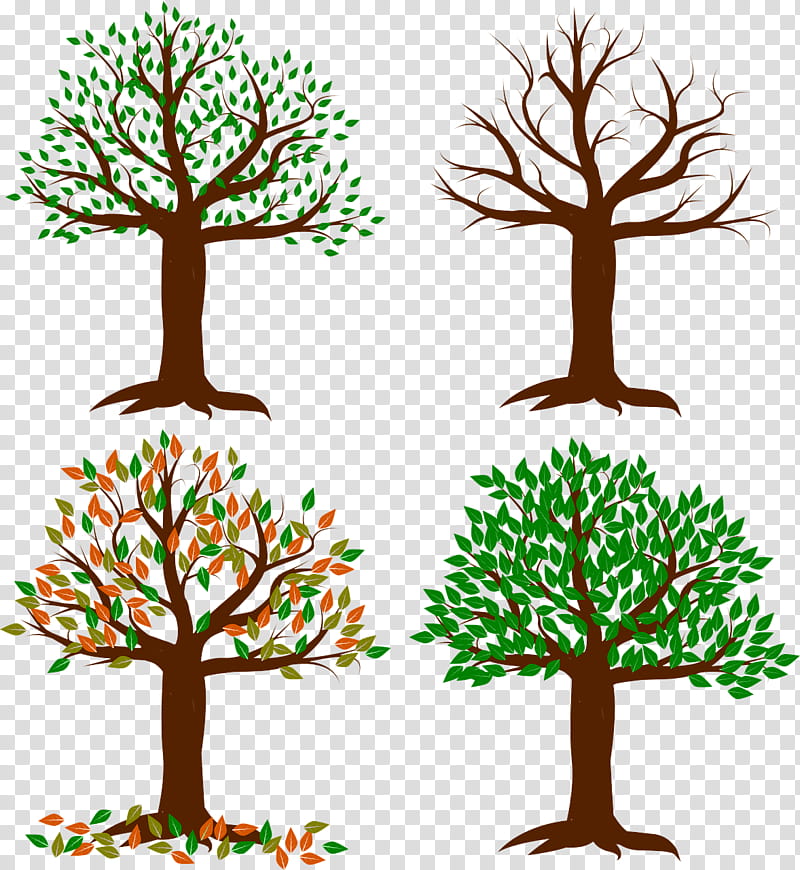 Arbor day, Tree, Green, Branch, Leaf, Plant, Woody Plant, American Larch transparent background PNG clipart